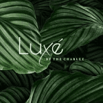 LOGOS HOME-07